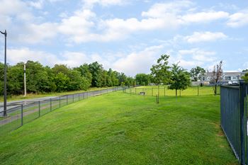 Bark park